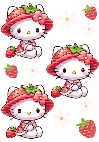 A5 Notebook Wraps-W-1655